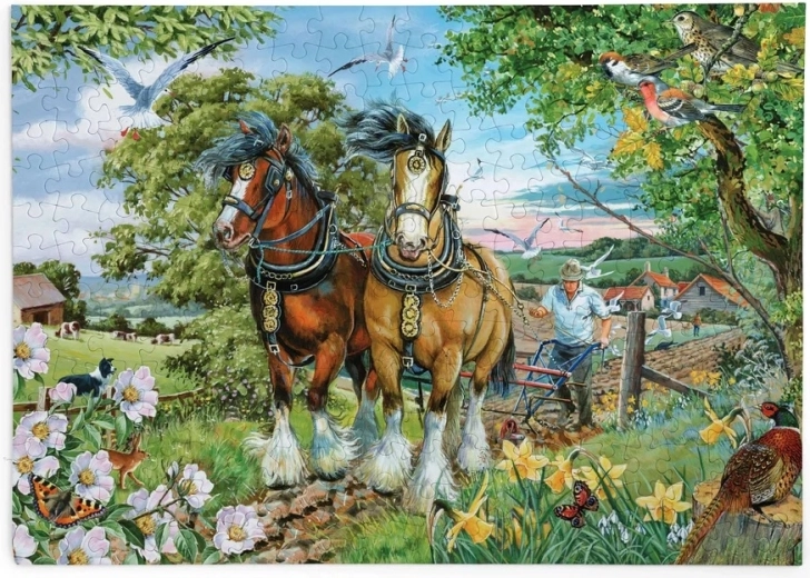 Puzzel Schoonheid en kracht van paarden met grote stukjes