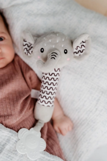 Bijtring voor verlichting van het tandvlees