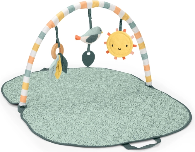 Ingenuity speelmat Sunny Nest 3-in-1