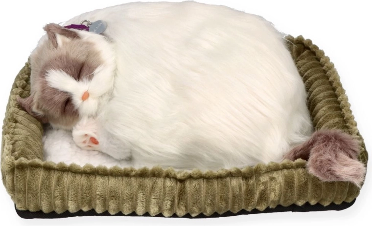 Ademende ragdollkat Perfect Petzz