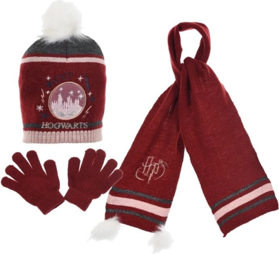 Winterset met muts, sjaal en handschoenen van Harry Potter - 3 stuks