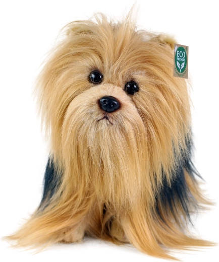 Knuffel vanaf de geboorte