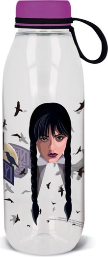 Fles Ecozen Wednesday 650 ml