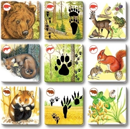 Prachtige illustraties die boeien