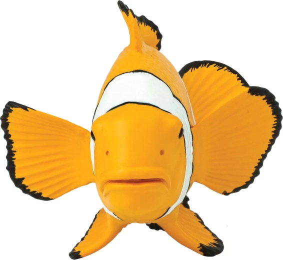 Ideale grootte voor een kinderhand