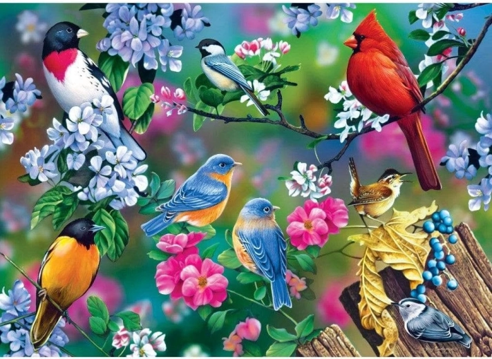 Masterpieces puzzel Audubon collage van zangvogels 1000 stukjes