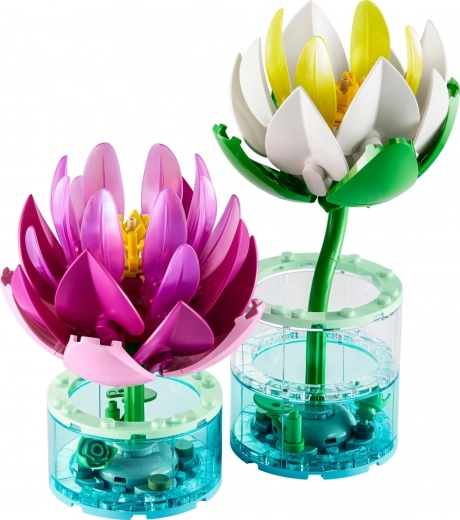 Interieurdecoratie en cadeau voor natuurliefhebbers
