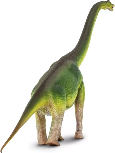 Lange nek en natuurgetrouwe silhouet van de brachiosaurus