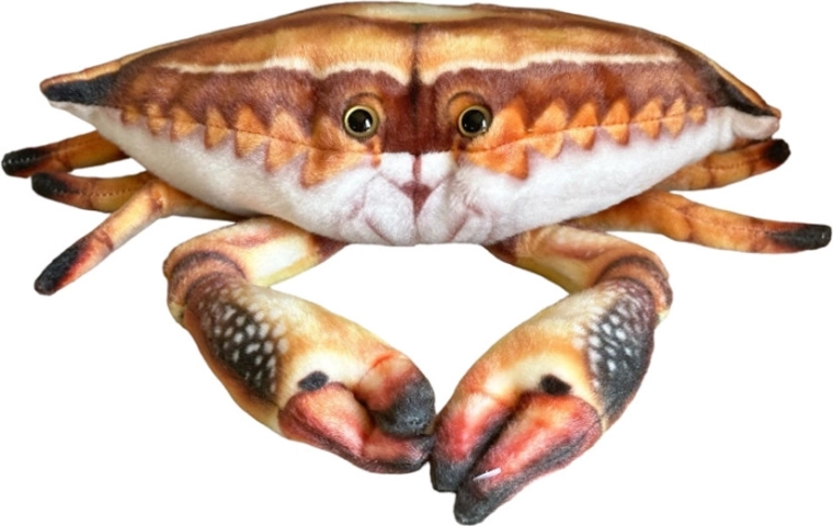 Pluchen krab 31 cm