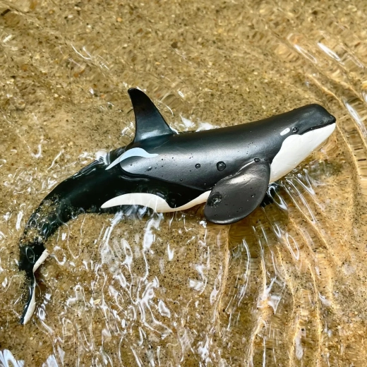 Ook geschikt om mee in water te spelen