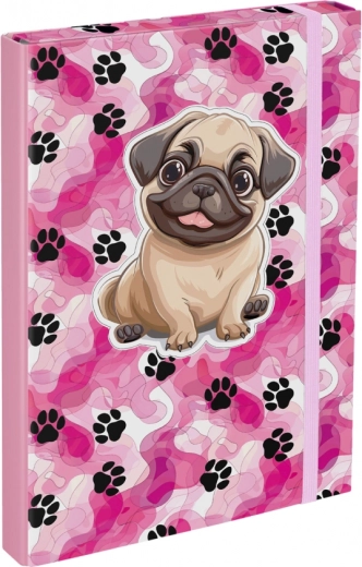 Mappen voor schoolschriften Paw Patrol A4