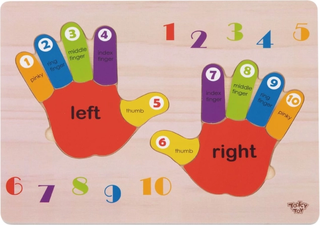 Houten educatieve puzzel handen – leren tellen, kleuren en rechts/links van TOOKY TOY