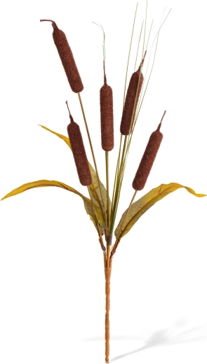 Natuurlijke uitstraling voor herfstdecoratie