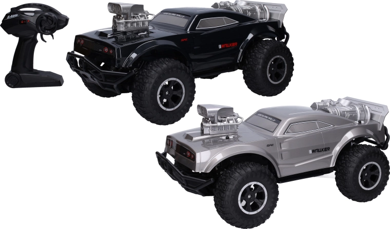 Wiky RC-terreinwagen 4x4 met grote wielen en 2,4GHz-bediening
