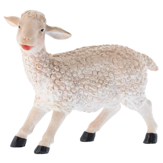 Veelzijdig inzetbaar voor decoratie en educatie