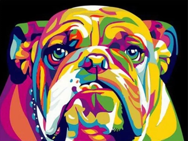 NORIMPEX Schilderen op nummer Kleurrijke bulldog 40 × 50 cm