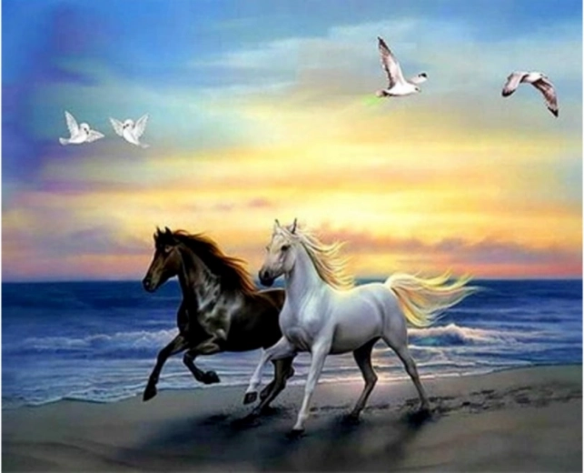 Diamantschilderij – twee paarden wit en zwart 30 × 30 cm - 1 stuk