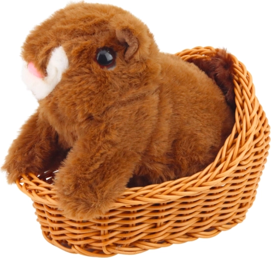 Zachte, veilige en duurzame pluche