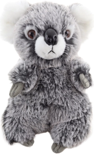 Veilig vanaf de geboorte (0+)