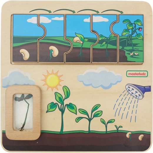 Masterkidz houten educatief bord – levenscyclus van een boon