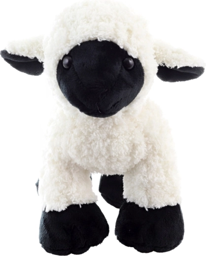 Ideaal formaat om te knuffelen