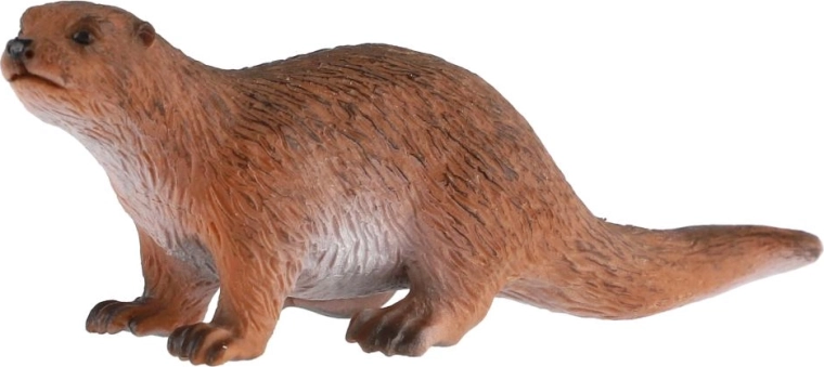 Getrouw weergegeven otter