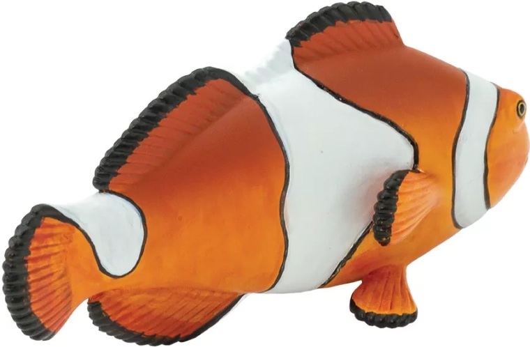 Realistische uitwerking van de clownvis