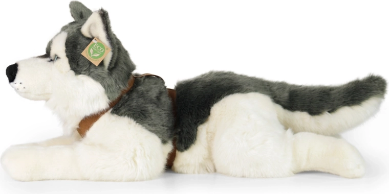 Realistisch uiterlijk van de husky