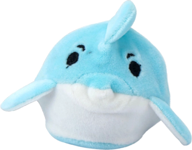 Compact en altijd bij de hand