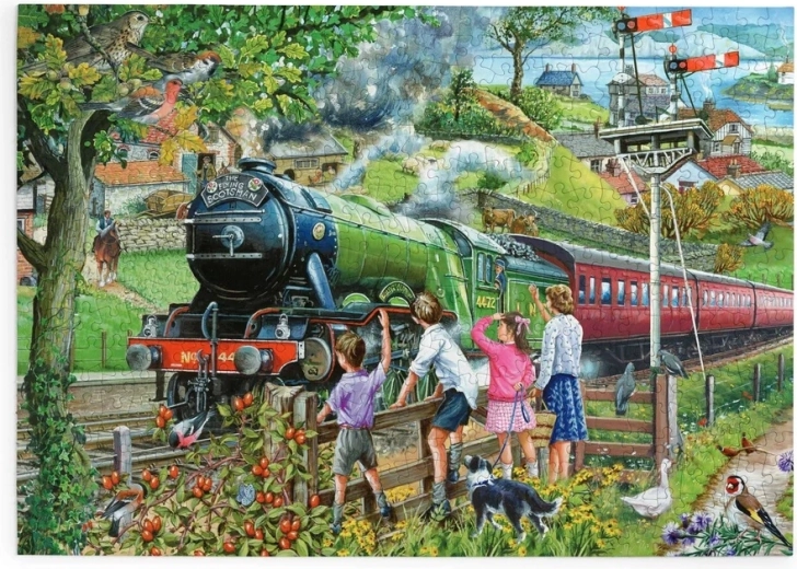 Puzzel House of Puzzles Volle kracht vooruit, 500 grote puzzelstukjes