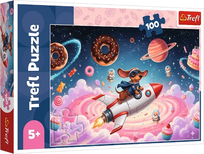 Puzzel 100 stukjes – egeltje op een raket