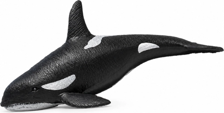 Realistische details van de orka