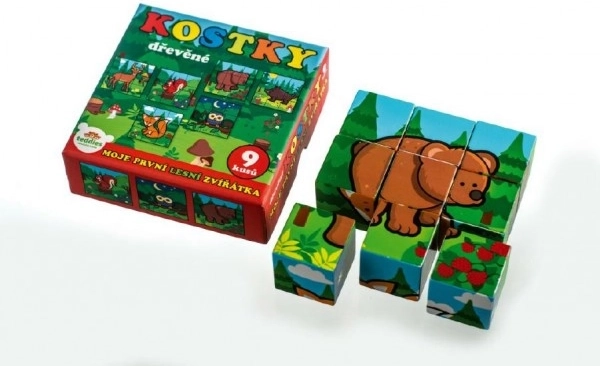 Blokken Kubus Mijn Eerste Dieren Hout