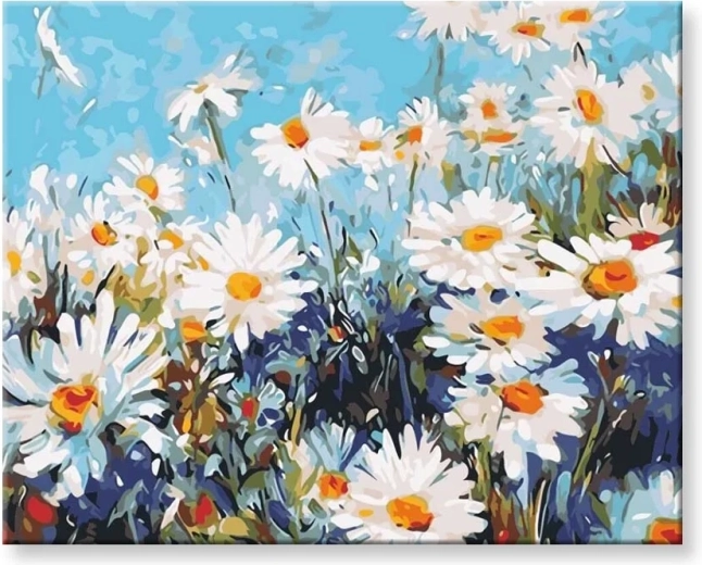 Norimpex Schilderen op nummer Madeliefjes 40 x 50 cm