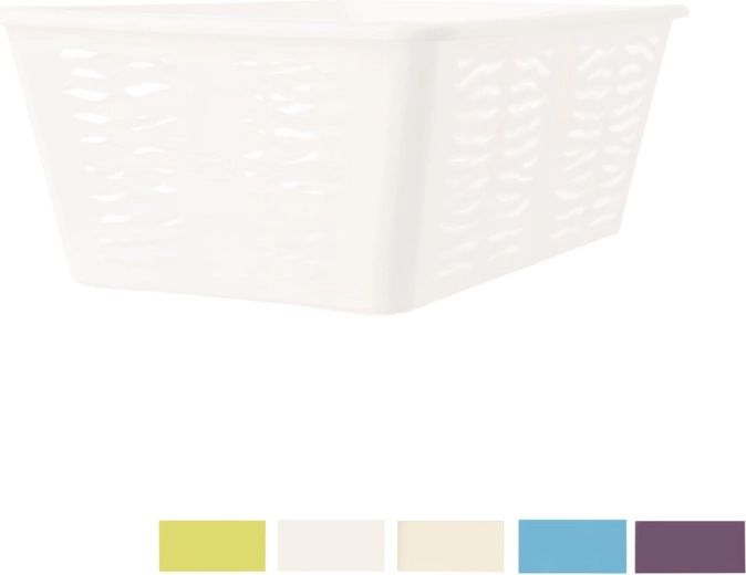 Modern Zebra-design en mix van kleuren