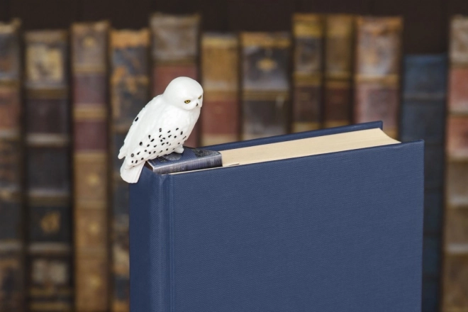 Gedetailleerde afwerking voor Harry Potter-fans