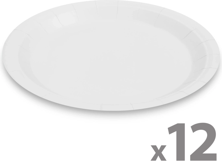 Set witte papieren borden 23 cm, 12 stuks