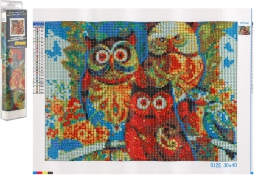 Diamantschilderen Uilen 30x40 cm