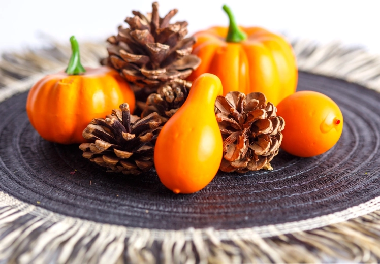 Herfstdecoratieset met pompoenen en dennenappels, 9-delig