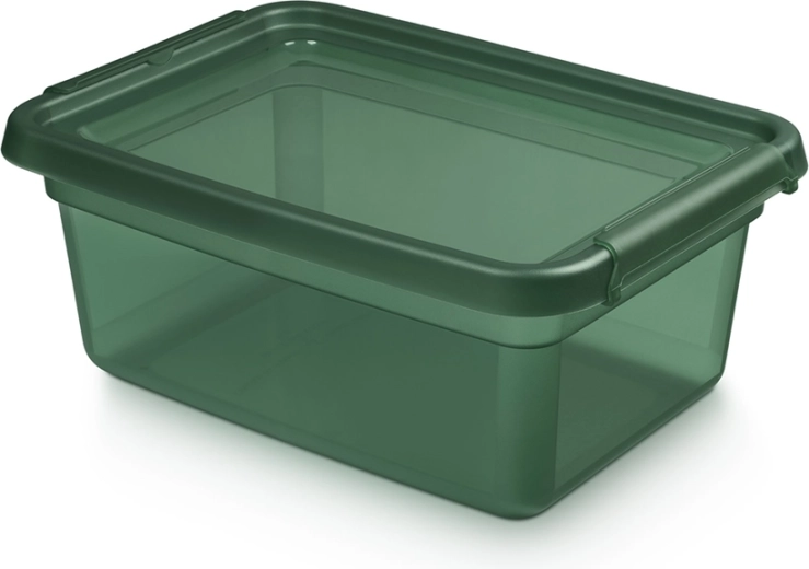 Basestore opbergbox van kunststof met deksel en clips pine 12,5 l