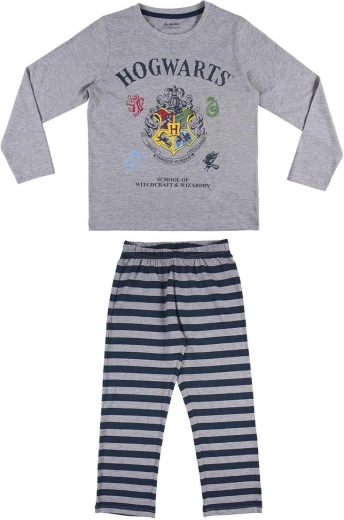 Hogwarts-motief voor Harry Potter-fans