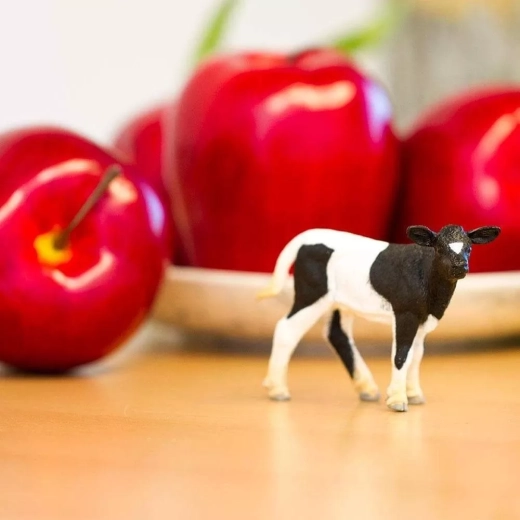 Ideaal voor boerderijspel en educatie