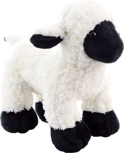 Eco-friendly materialen