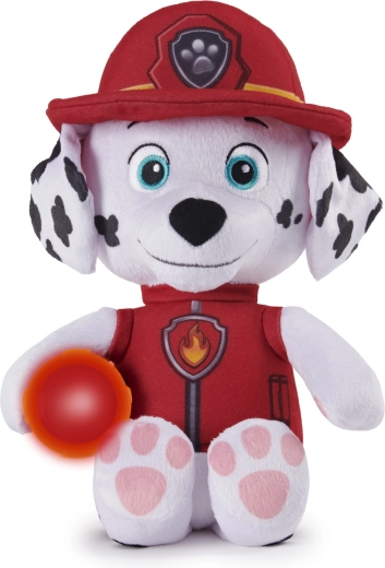 Favoriete held van PAW PATROL