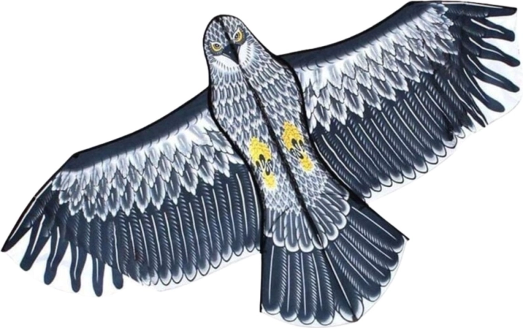 Stabiele vlucht ook voor beginners