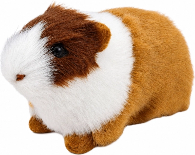 Zachte vacht zoals bij een echte cavia