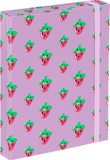 Mappen voor A5-schoolschriftjes Baagl Lavender
