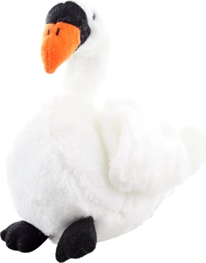 Eco-friendly materialen