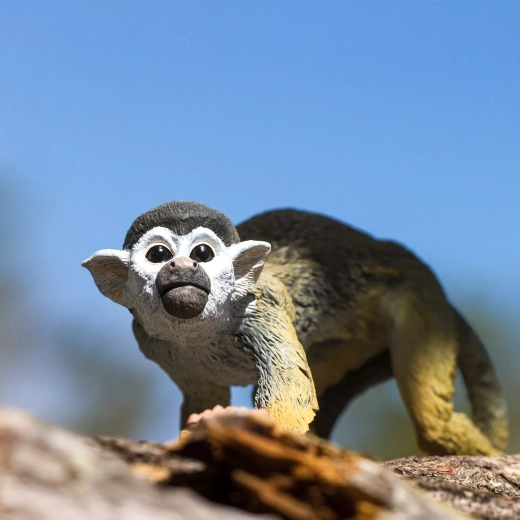Getrouwe uitvoering om de natuur te leren kennen