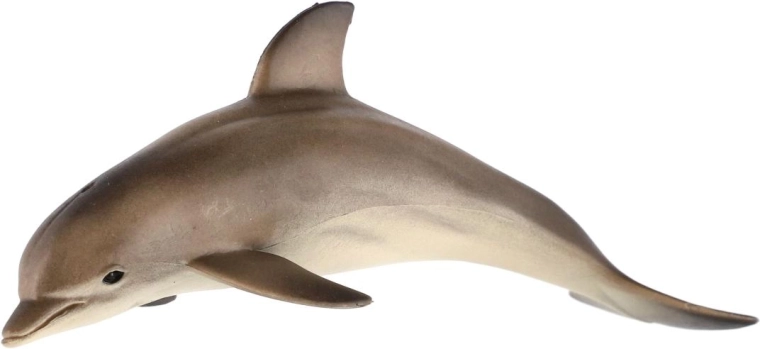 Voor kleine oceaanontdekkers